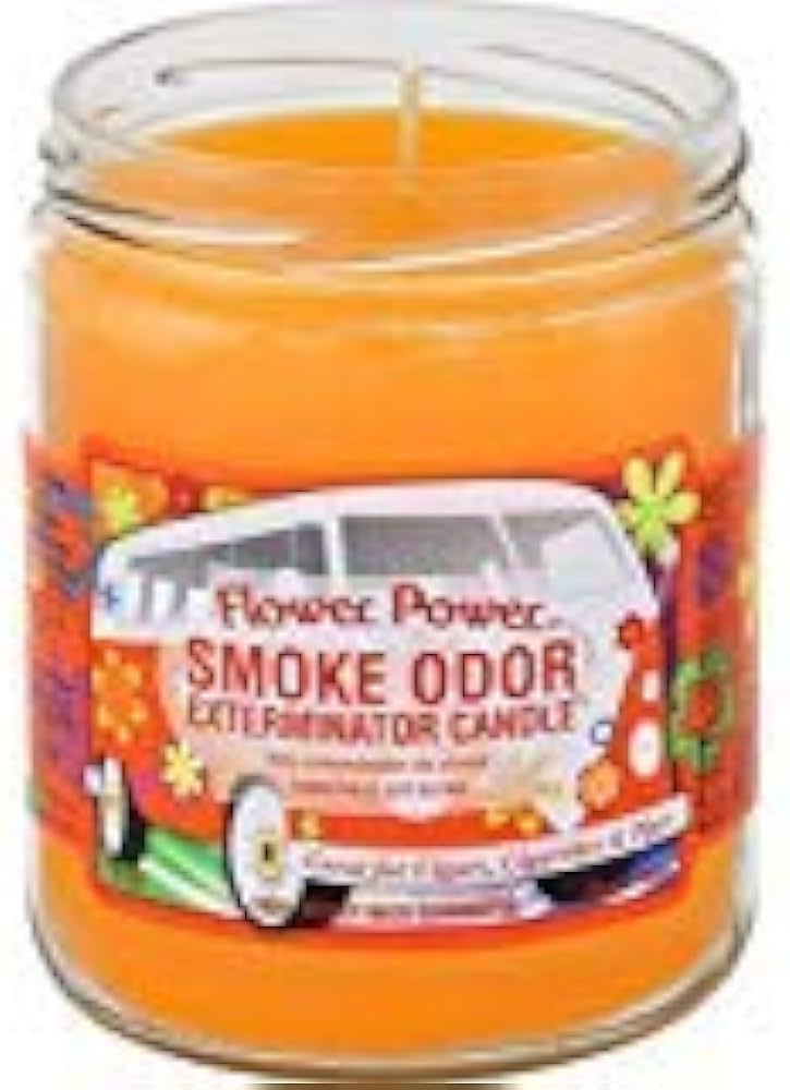 Smoke Odor Candle Forest Walk  13 Oz / 1 Ct