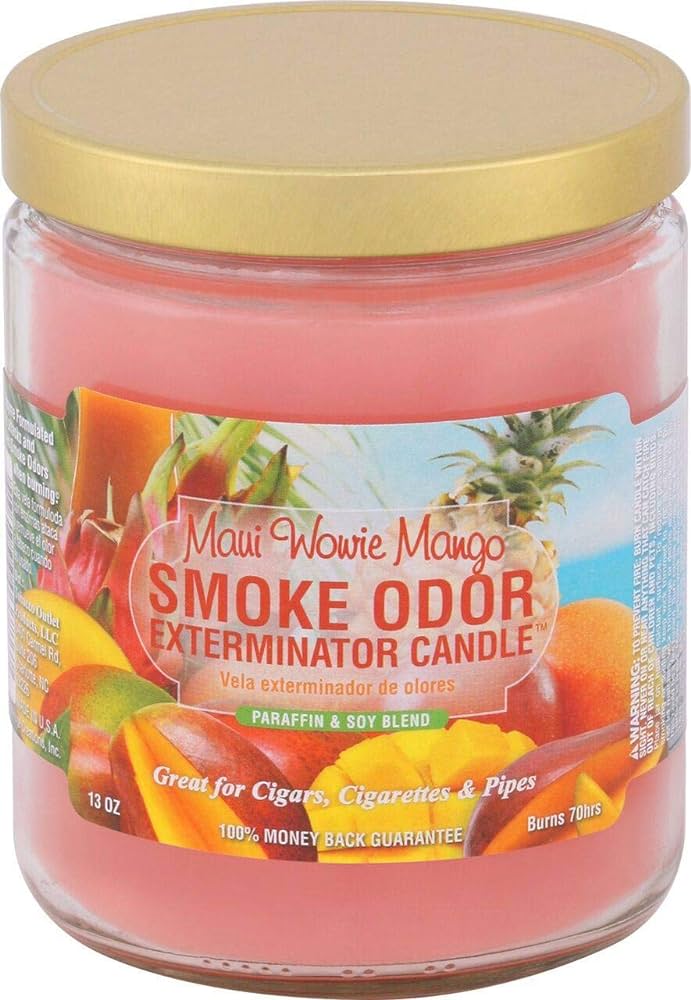 Smoke Odor Candle Moonlight 13 Oz / 1 Ct