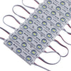 Led Modules Red/Blue 25Ft Bag 50 Ct