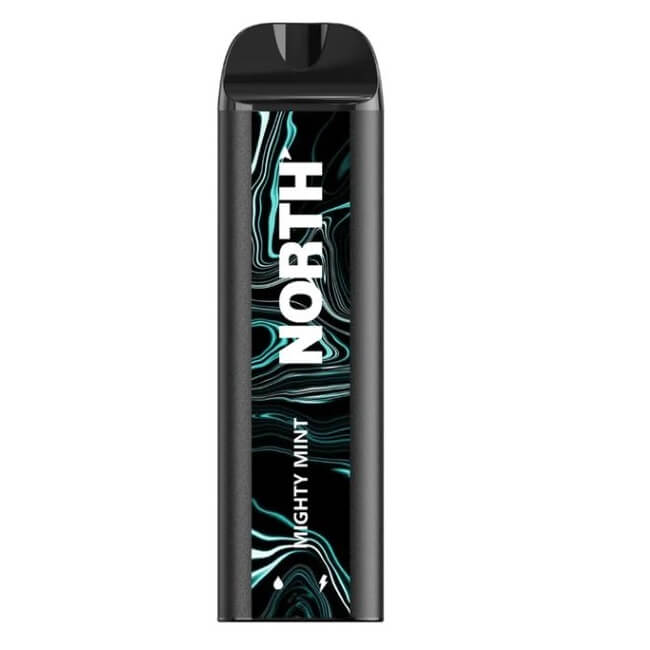 NORTH 5000 Rechargeable Disposable | 5000 Puffs | 5% Nicotine | 10 Count Display | Mighty Mint