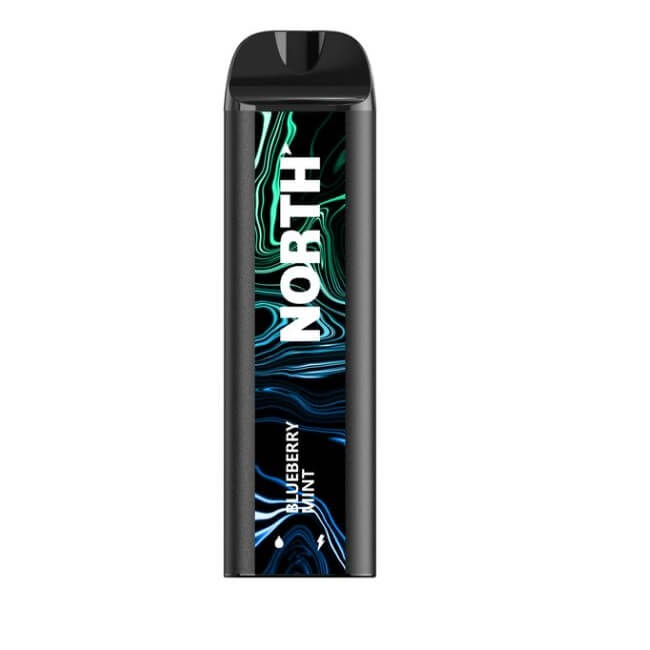 NORTH 5000 Rechargeable Disposable | 5000 Puffs | 5% Nicotine | 10 Count Display | Blueberry Mint